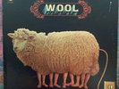 Wool - Wool LP - Rare 1969 Psych Female Vocals - Samples