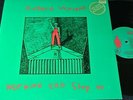 ROBERT WYATT Nothing Can Stop Us / UK LP 1982 ROUGH TRADE ROUGH 35