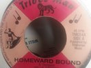 WILLIE STEPPER ?– 'Homeward Bound' killer Tribes Man roots
