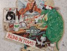 ERROR  - W.A.S.P. BLIND IN TEXAS PICTURE DISK ALBUM VINYL 45RPM RECORD