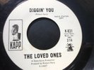 THE LOVED ONES IT'S NOT GONNA TAKE TOO LONG/ DIGGIN' YOU 45 GARAGE PSYCH KAPP