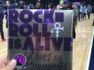 Prince Rock N Roll Is Alive And It Lives In Minneapolis Vinyl Timberwolves SGA