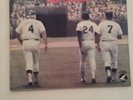 Broklyn Dodger Willie, Mickey and the Duke record by Terry Cashman