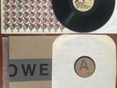LP 100 FLOWERS Original 1983 Urinals rare vtg. LA punk Happy Squid Album Record