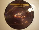 Picture LP RAMMSTEIN - Liebe ist für alle da RARE DE 2009 MINT