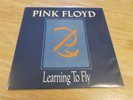 Pink Floyd ? Learning To Fly ? US 12'' Promo Vinyl ? David Gilmour
