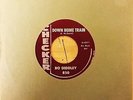 BO DIDDLEY - DOWN HOME TRAIN - ORIGINAL CHESS SINGLE - ROCKIN BLUES - EXCELLENT