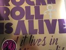 Prince Rock N Roll Is Alive And It Lives In Minneapolis Vinyl Timberwolves SGA
