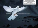 Karl Jenkins ?– The Armed Man: A Mass For Peace Vinyl 2LP