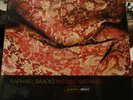 Raphael Saadiq Instant Vintage 2 LP vinyl. FIrst pressing used VG