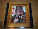 Love Da Capo 1967 Elektra EKS-74005 Stereo Tan Elektra Label with E Logo VG+ NM