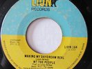 WE THE PEOPLE-MAKING MY DAYDREAM REAL ON LION NORTHERN 45-HEAR