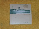 R.E.M. fan club 45 w/PIC COVER Only in America/I Will Survive (1996) # 3229 (NM)