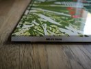 Jethro Tull LP This was UK Pink Island Eye 1st press MONO WIDE SPINE