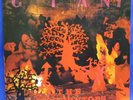 LP WOODENTOPS - GIANT // GERMAN ROUGH TRADE / INDIE ROCK, POST PUNK