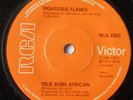 Righteous Flames - Let The Music Play / True Born African - RCA UK Orig. 7