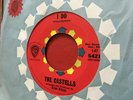 The Castells: I Do / Teardrops - WB 5421 - 1964 Doo Wop / Surf