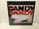 The Jesus and Mary Chain - Psychocandy vinyl LP RE sealed