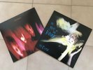 The Cure Pornography The Head on the door ristampe vinile vinili