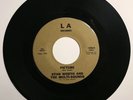 STAN WORTH & MULTI-SOUNDS Picture RARE PSYCH FUNK SOUL Garage HEAR