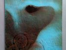 Pink Floyd - Meddle - Vinyl LP Gatefold  UK