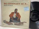 Bo Diddley Is A Lover- Checker R&B Rock LP- VG(+)/G+ /VG(+)