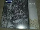 Buffalo Tom 40th Anniv Lp Rsd Clear Vinyl preoder