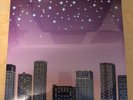 Sim City Totakuribo Vinyl