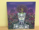 Erykah Badu -  New Amerykah Part Two (Return of the Ankh) Vinyl
