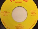PEGASUS fire / things to come
