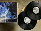 Poison The Well ?– The Opposite Of December Tear From The Red *VINYL* Trustkill