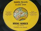 Rare Female Garage 45 Alana Shor Wrong Number/Shades GIRLS IN THE GARAGE HEAR