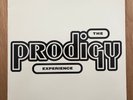 The Prodigy - Experience (2x Vinyl LP)
