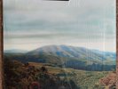 Dirty Projectors + Björk Mount Wittenberg Orca  Vinyl