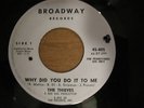 The Thieves - Why Did You Do It To Me / I'm Not The One  45 Broadway 405 DJ 1966