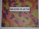 Death In June – Hail  The White Grain - clear vinyl 7