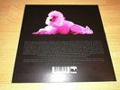 NEU   RAMMSTEIN  PUSSY 7