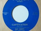 rare northern soul funk r&b 45 Ray Scott - Captivation ODESSA listen