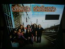 LYNYRD SKYNYRD **(Pronounced 'Leh-'nérd 'Skin-'nérd) **NEW RECORD LP VINYL
