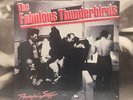 THE FABULOUS THUNDERBIRDS - POWERFUL STUFF LP NEW SEALED 1989 US CBS OZ 45094