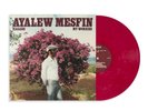Ayalew Mesfin - Hasabe 'My Worries' - MINT - Colored Vinyl - Ethiopian - NEW