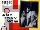 Percy Sledge - Any Day Now, LP, Comp, (Vinyl)
