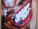 THE DARKNESS PINEWOOD SMILE SIGNED/HANDSIGNIERTE LIMITED RED VINYL LP 2017