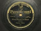 CHARLEY PATTON 78 MEAN CAT BLUES MAGNOLIA BLUES PARAMOUNT 12943 PRE WAR SLEEVE