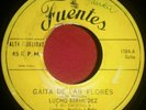 LUCHO BERMUDEZ Y SU ORQUESTA - GAITA DE LAS FLORES  FUENTES COLOMBIA
