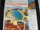 Benjamin Rogers ?– It's Always Springtime In Hawaii (49th State LP-3411)