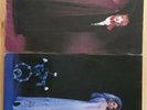 Stevie Nicks - 2 LPS - The Wild Heart  and Bella Donna LP Album Vinyl Records