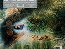 PINK FLOYD SAUCERFUL OF SECRETS MONO 2019 BLACK VINYL LP RECORD NEW STORE DAY