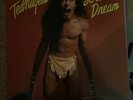 Ted Nugent Record Lot