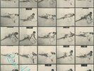 Roxy Music Debut Album Remixes 2x12